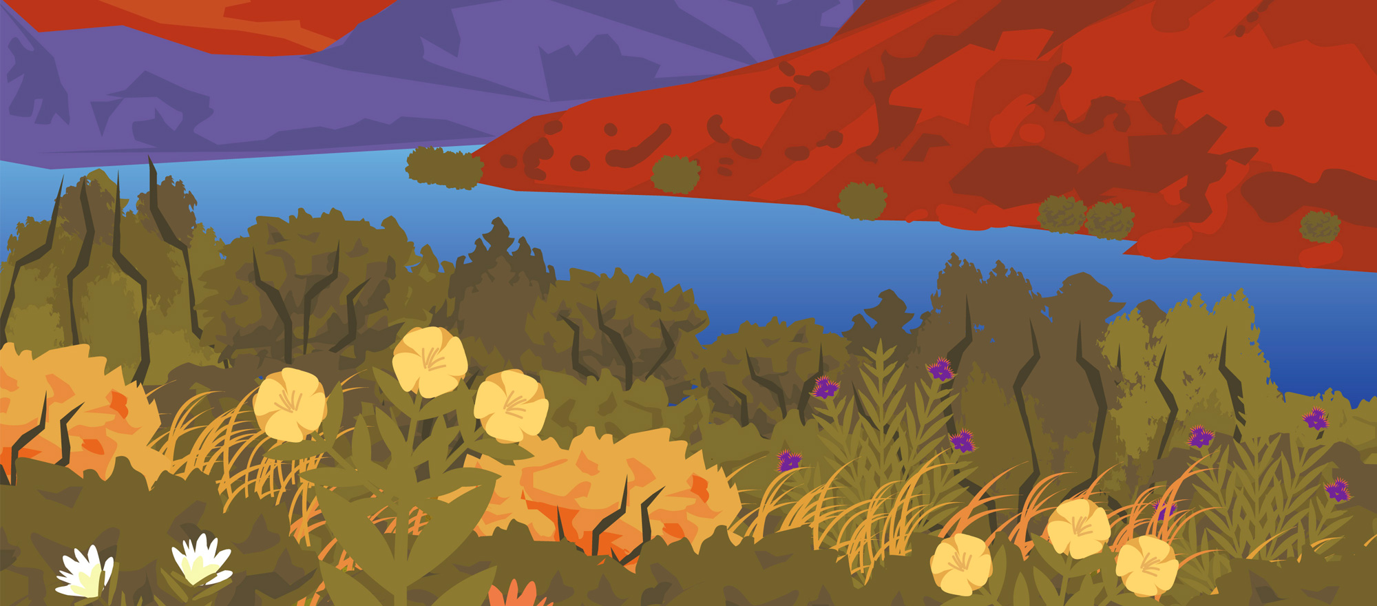 Post-2026 Operations Exploration Tool for the Colorado River Basin